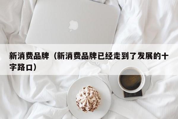 新消费品牌（新消费品牌已经走到了发展的十字路口）