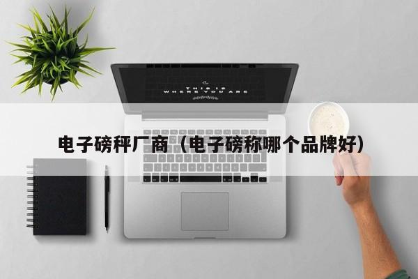 电子磅秤厂商（电子磅称哪个品牌好）