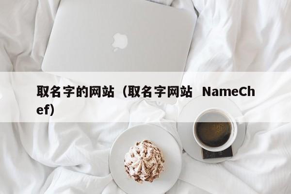 取名字的网站（取名字网站  NameChef）