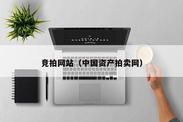 竞拍网站（中国资产拍卖网）
