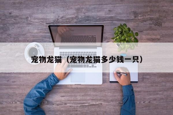 宠物龙猫（宠物龙猫多少钱一只）
