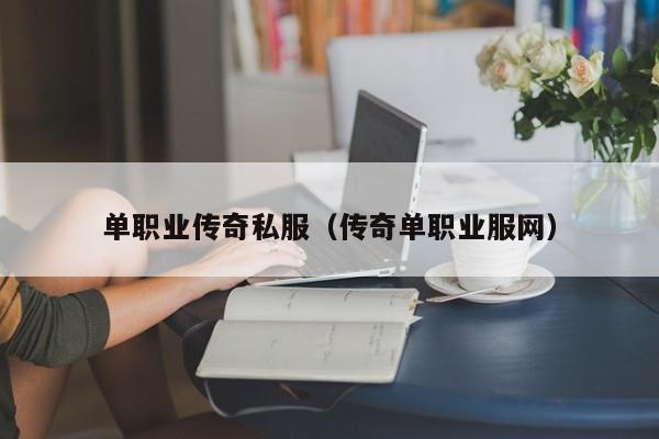 单职业传奇私服（传奇单职业服网）