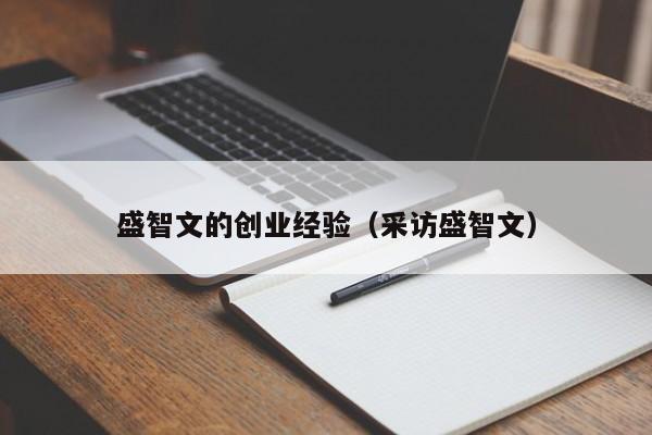 盛智文的创业经验（采访盛智文）