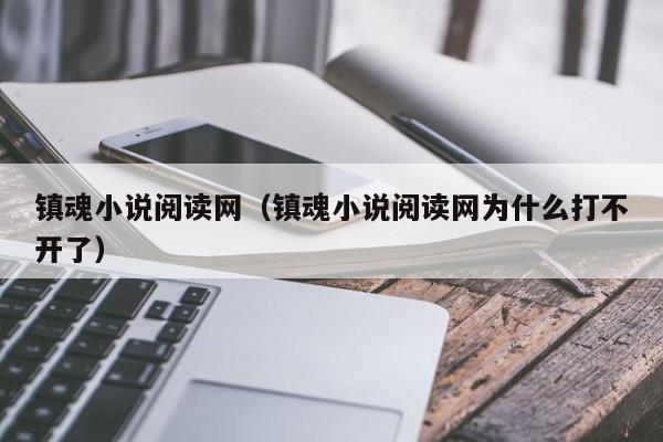 镇魂小说阅读网（镇魂小说阅读网为什么打不开了）